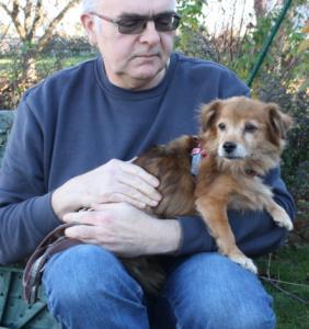 Issy-NOTFALL, ein älteres Hundemädchen sucht dringend eine Familie!